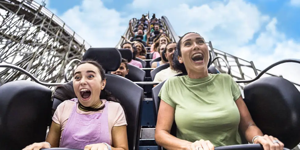 Disconnecting and Rediscovering Joy at Theme Parks