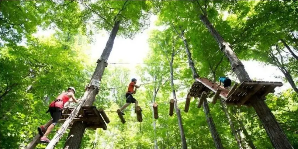 Balance Beam At An Adventure Park