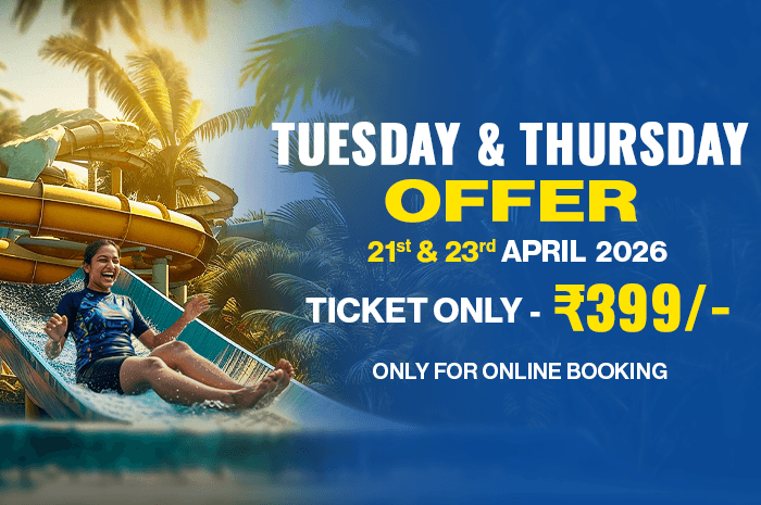 Tue & Thur Combo Offer (1)